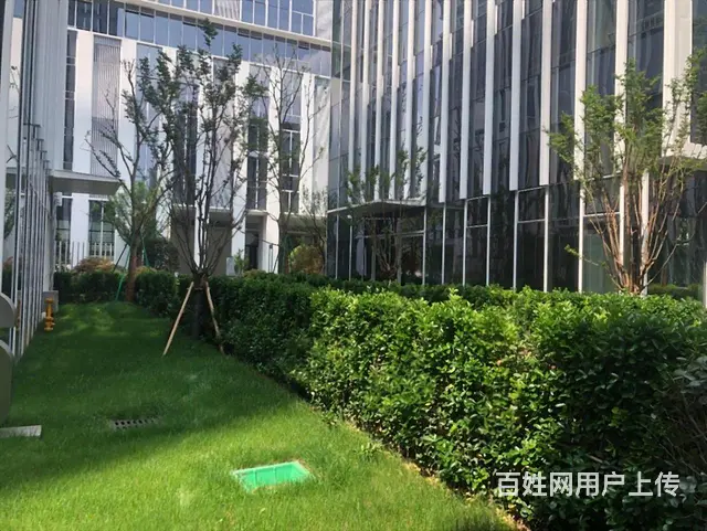 城北独栋带花园大露台滨江运翠轩3200方5000通燃气送车位 - 图片 9