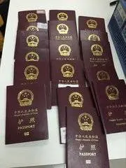 正规出国劳务/年薪45万/（项目保签）澳洲工作签证 - 图片 1