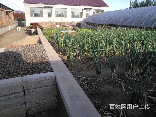 房主自己出租厂房仓库 - 图片 6