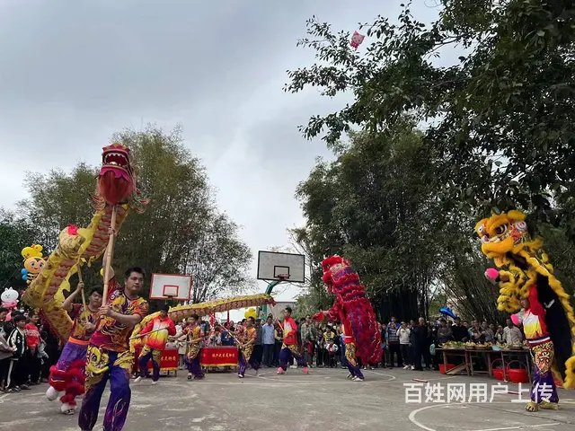 东兴龙狮团东兴舞狮队东兴醒狮团​ - 图片 2
