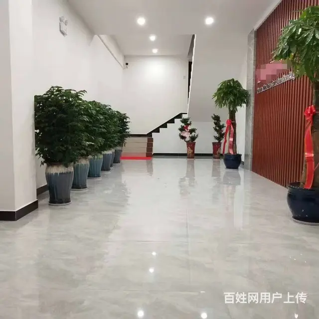 桥头家苑临街门面➕精装办公场地直租，可做餐饮，教育培训，健身 - 图片 1