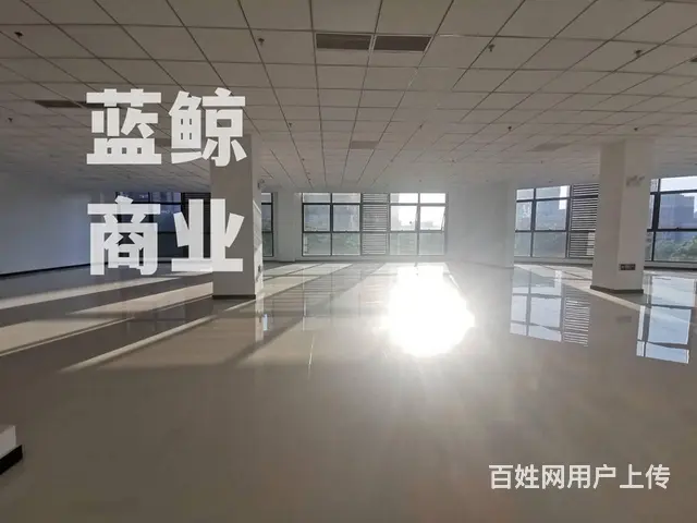 云龙华府420平纯办公写字楼 - 图片 2