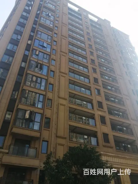 出门武汉站 东湖旁 近杨春湖实验学校 欢乐天际 徐 - 图片 11