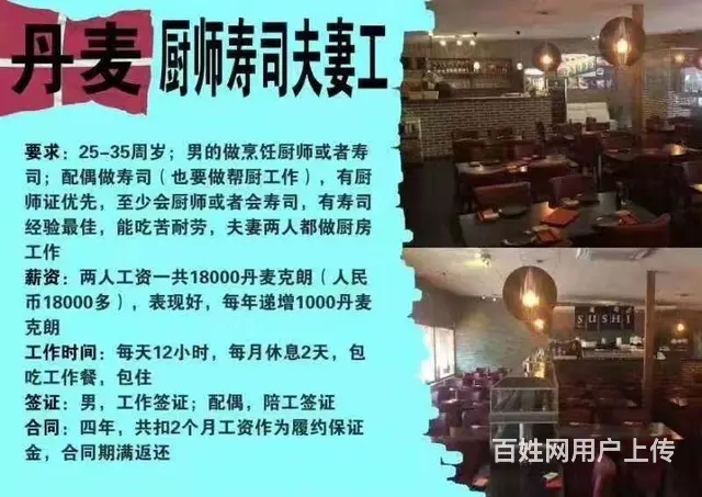出国工作签证，务工业办理公司，多个国家合作 - 图片 5