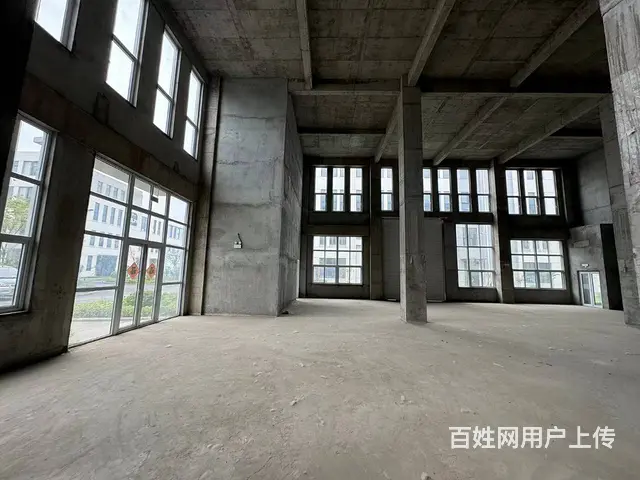 （徐州找店网）青山泉新建标准厂房出租 - 图片 5