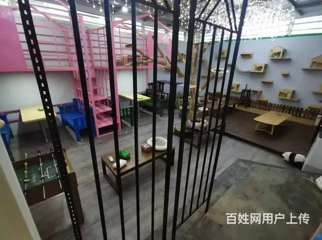（速转店）急转 精装修独栋别墅 影咖 猫咖 可专项做其他 - 图片 2
