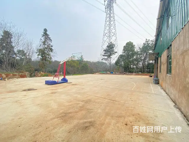 （房东直租）雷锋大道北160一660平厂房出租，带2亩场地 - 图片 7