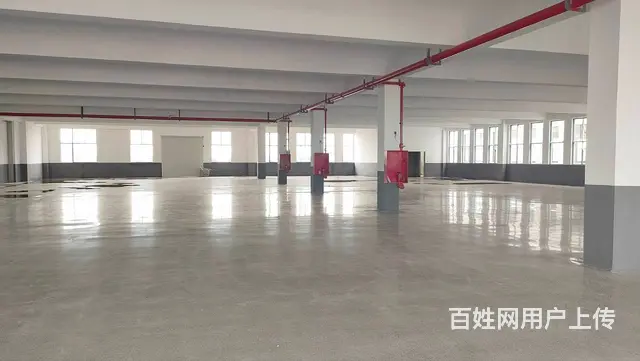武进鸣凰科创路独立二楼车间1800平方货梯大可分组800平方 - 图片 3