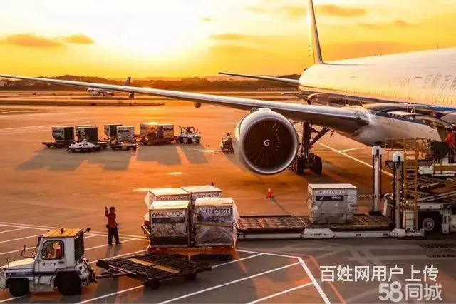 揭阳空运 航空货运 五金空运宠物空运鱼苗空运月饼空 - 图片 6