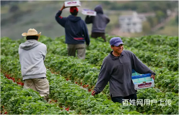 自贡出国劳务旺季- 丹麦急招食品厂- 包装工 - 图片 3