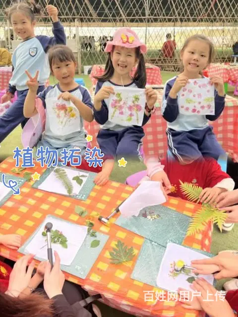 探索自然·启迪智慧广州帽峰山生态园研学之旅 - 图片 3