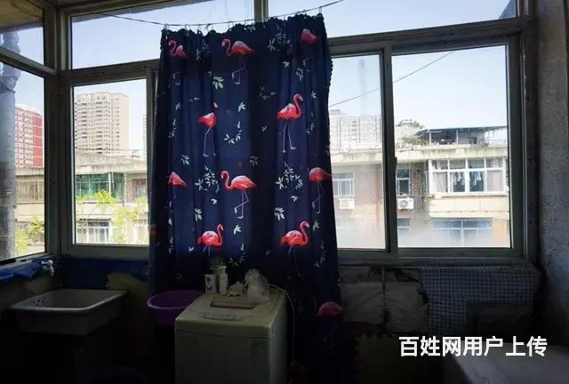 极速出手 - 图片 2