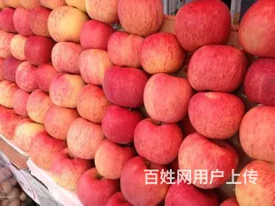 各类水果 - 图片 12