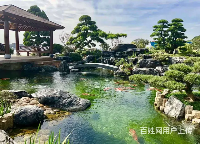 广州做鱼池假山设计施工，做鱼池过滤，鱼池滤清洗 - 图片 3