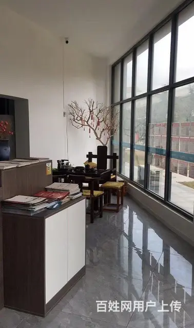 经区江家寨高端装修临街旺铺出租 - 图片 1