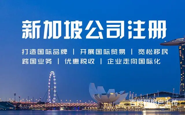 新加坡公司法豁免私人有限公司 - 图片