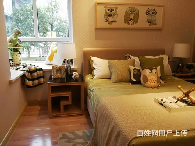 全椒国建理想城 高铁站旁 医院对面学区 即买即赚 - 图片 3