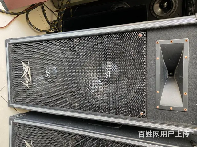 转让一对百威双10寸舞台演出音箱成色好实图实拍 - 图片 11