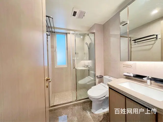 绿城新华园精装3房沈塘桥白马公寓武林壹号星河明苑武林广场 - 图片 8