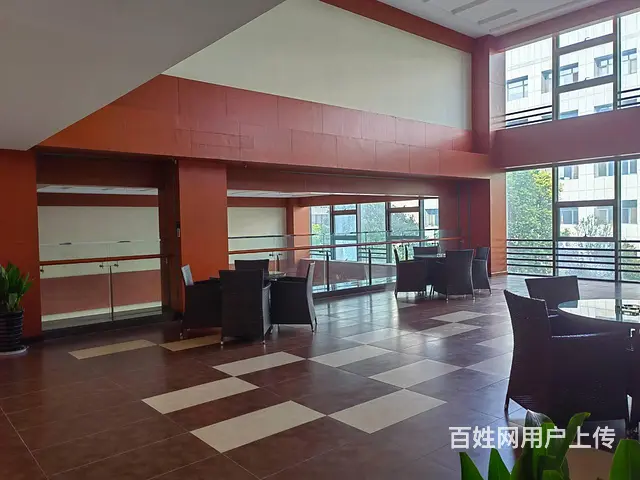 吉田商务广场180平纯办公写字楼一手现房出售 - 图片 4