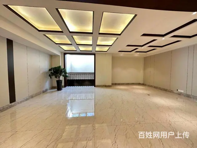 捡漏外滩   1带2层 下叠 共四层 带车位 赠花园 - 图片 12