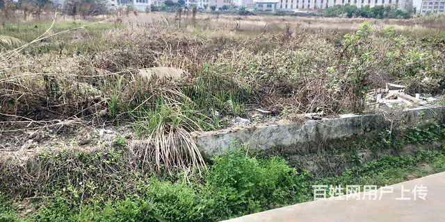 种植土地出租 - 图片 1