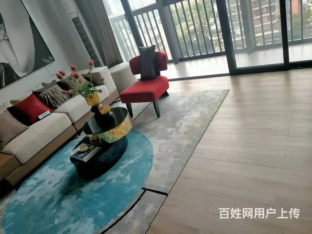 铭泰城市广场 公寓2房2厅 精装修 - 图片 3