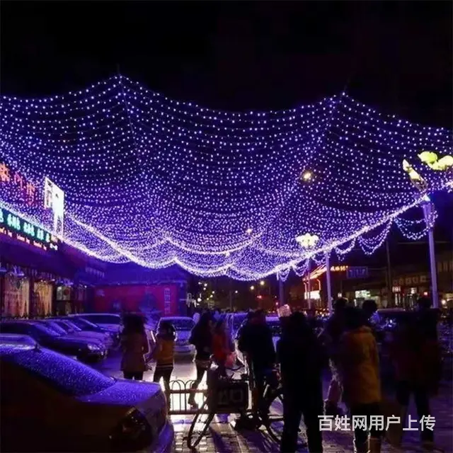 桥梁亮化，绿地景观亮化，城市路灯照明工程设计施工 - 图片 3