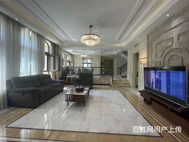 群力玫瑰湾边户别墅 建470米858W 花园200米车库2台 - 图片 4
