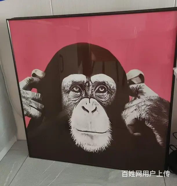 高档上档次挂件装修 - 图片 1