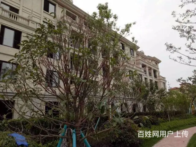 安吉繁花郡.自带商业配套.对口学区.紧邻杭安轻轨 - 图片 5