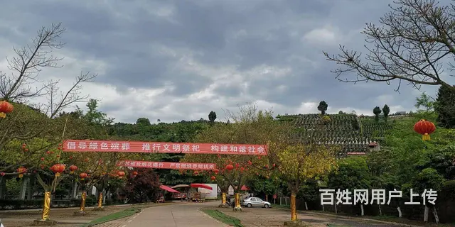 二手集装箱，海运集装箱出售，全部批发价出售 - 图片 6