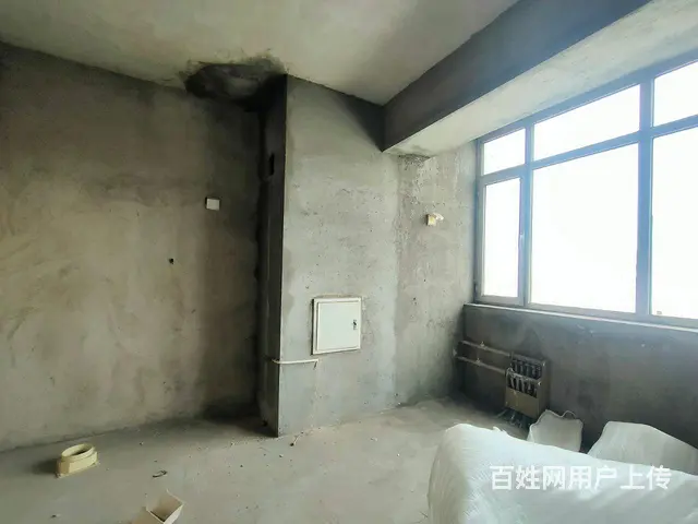 大自然一期大户型毛坯房，电梯房，三居两厅两卫！ - 图片 7