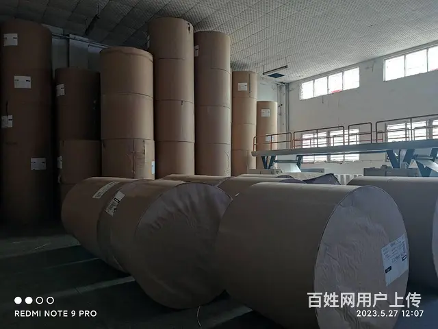 加拿大原产纯木浆试卷纸,速印纸,一体机纸,油印纸 - 图片 5