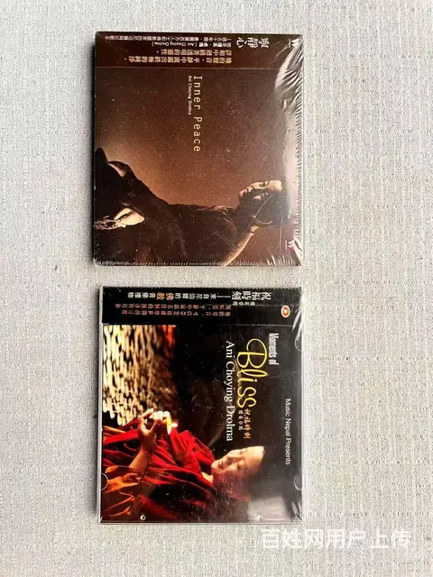 Ani Choying Drolma 琼英卓玛 - 图片 1