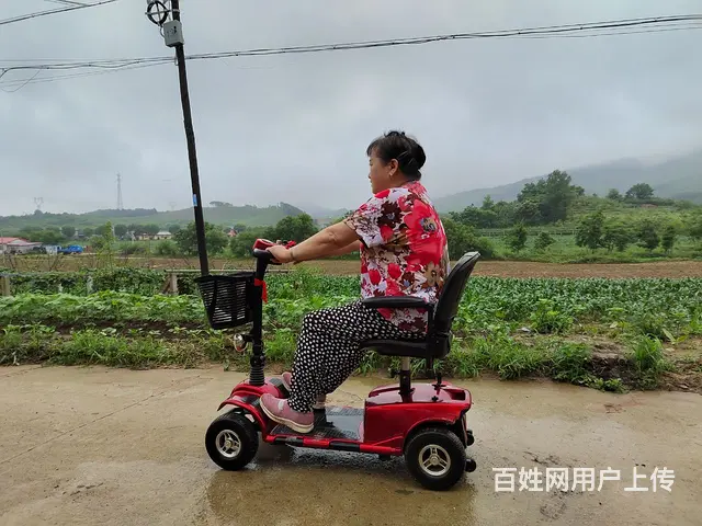 老年电动代步车低价出售 - 图片 1