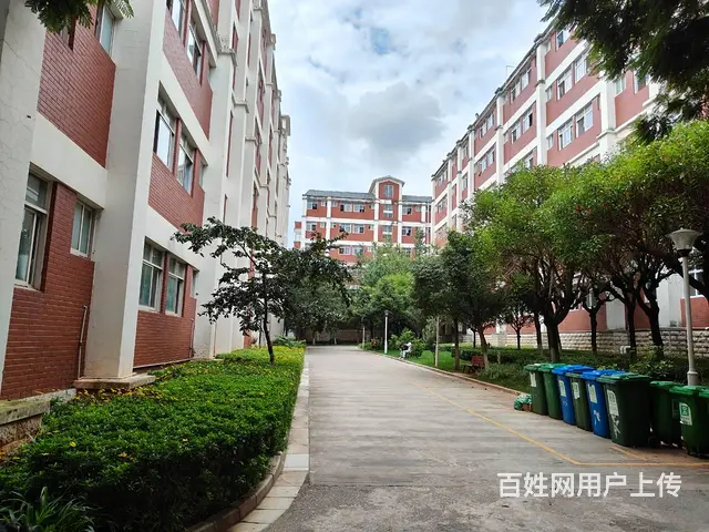4204（爆铺网）2万人大学内旺铺转让(行业不限) - 图片 8