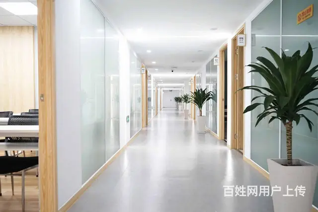 杭州意大利语零基础入门A1课程 - 图片 2