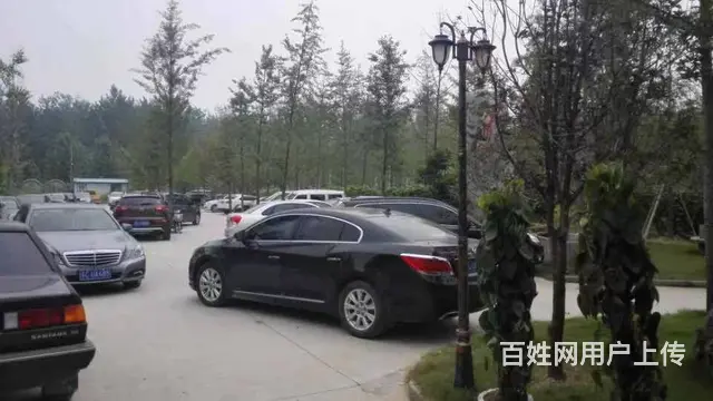 （城市在线找房免费）新城区观光路润泽生态园酒店鱼塘出租 - 图片 2