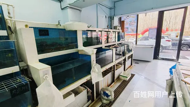 宽城区海鲜批发店出兑 带线上客户资源 - 图片 7