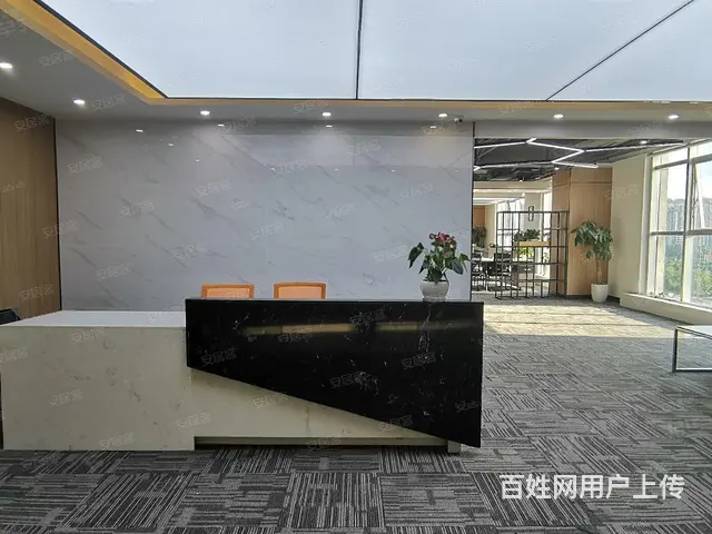 冉家坝华融现代广场三条轨道交汇处！正对电梯口豪华装 - 图片 12
