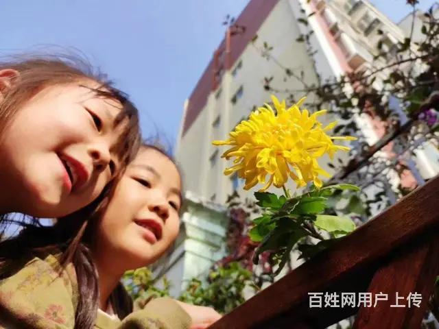 【洛阳高新幼儿园】拒绝语言暴力，批评教育请低声说话 - 图片 2