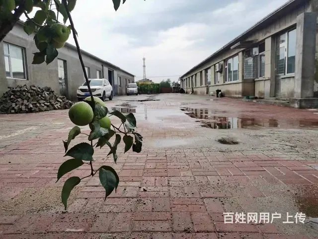 个人出售厂房、库房、平房 - 图片 2