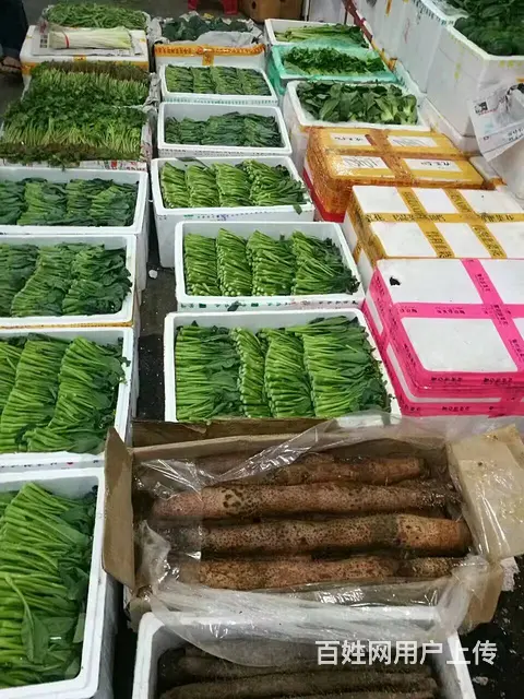 蔬菜配送找禾厨公司、食堂承包、生鲜蔬菜配送等 - 图片 4