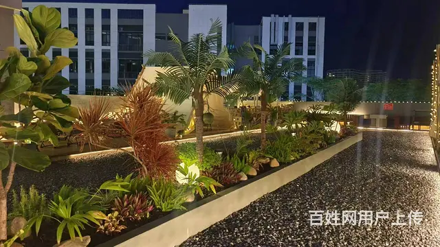 （51旺铺推荐）崖城科技城900平音乐餐厅转让 - 图片 8