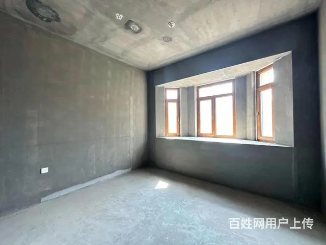 翠湖边户别墅 中间位 超大花园 双车库 室内电梯 没税 - 图片 10