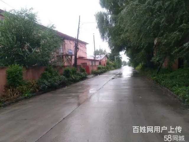 松北区中源大道厂房库房出租 - 图片 3