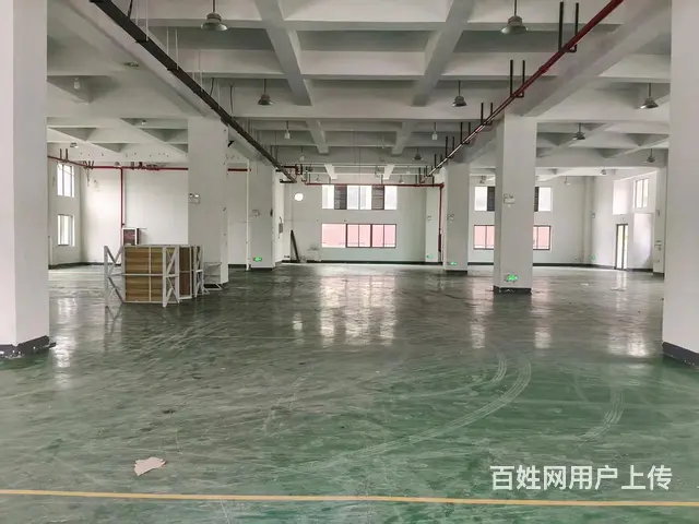 临安锦城街道单层1000方/2000方标准厂房出租 - 图片 6