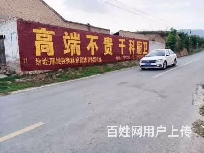 洛阳喷绘墙体广告,墙体喷绘广告,手写墙体广告 - 图片 2
