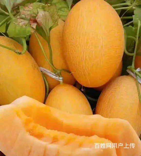 水果批发供应成都配送联系电话水果批发市场 - 图片 5